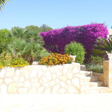 Villa Luxueuse دينايا المظهر الخارجي الصورة