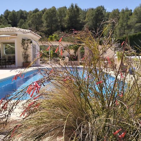 Villa Luxueuse دينايا المظهر الخارجي الصورة