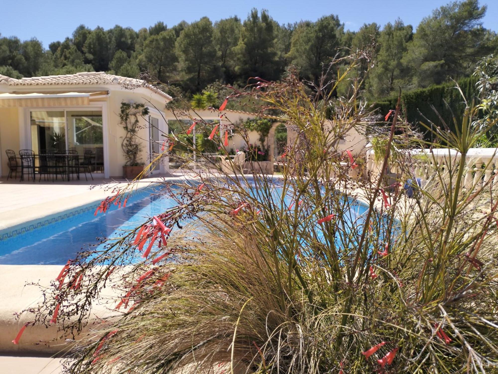 Villa Luxueuse دينايا المظهر الخارجي الصورة